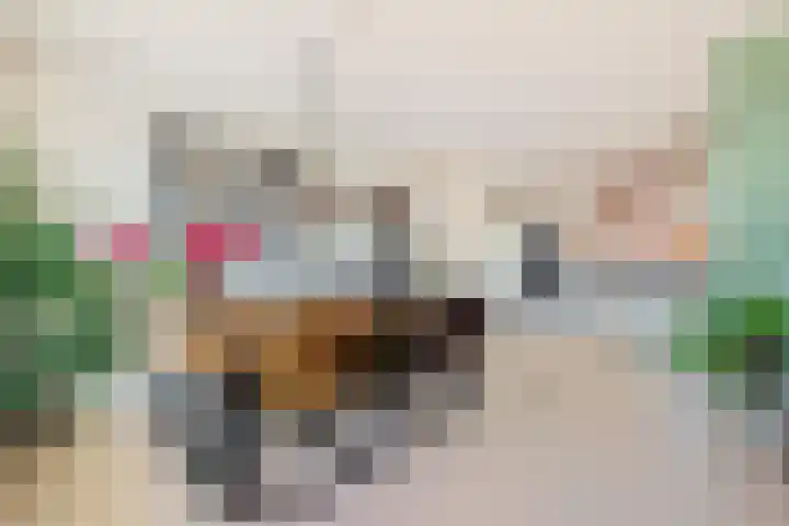 Willem Augustinstraat 144 Amsterdam thumbnail 10