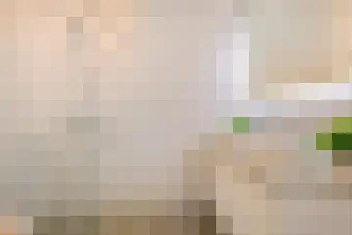 Willem Augustinstraat 144 Amsterdam thumbnail 20