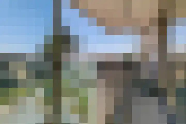 Willem Augustinstraat 144 Amsterdam thumbnail 27