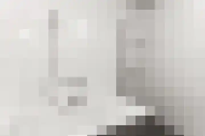 Willem Augustinstraat 220 Amsterdam thumbnail 19