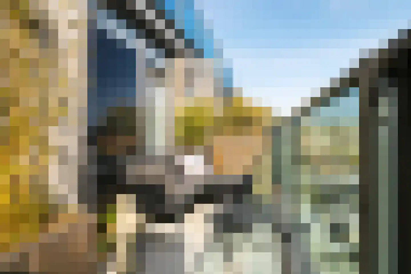 Willem Augustinstraat 224 Amsterdam thumbnail 12