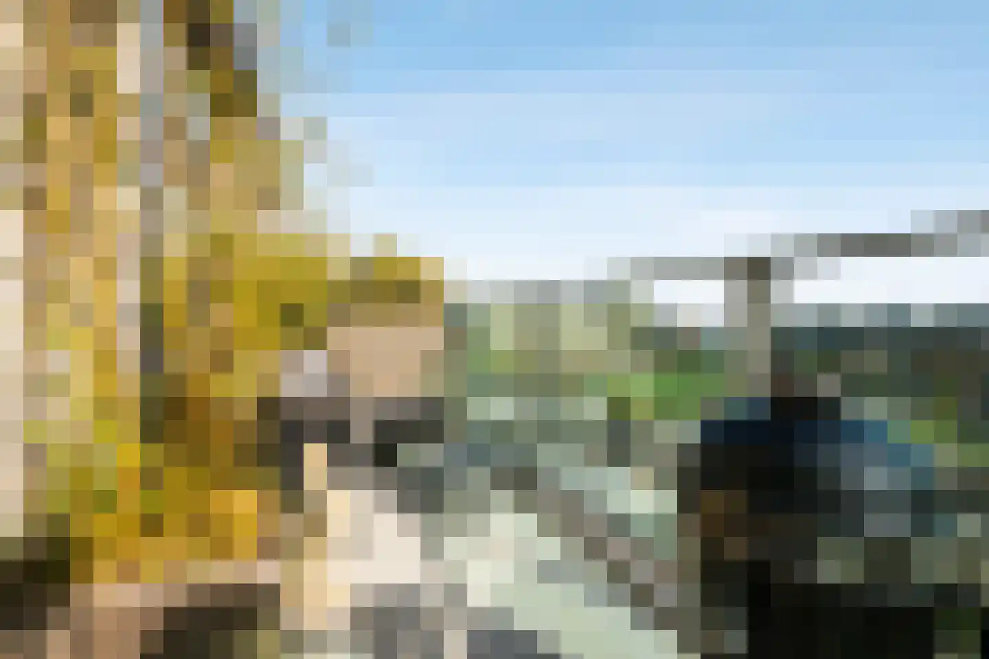 Willem Augustinstraat 224 Amsterdam thumbnail 13