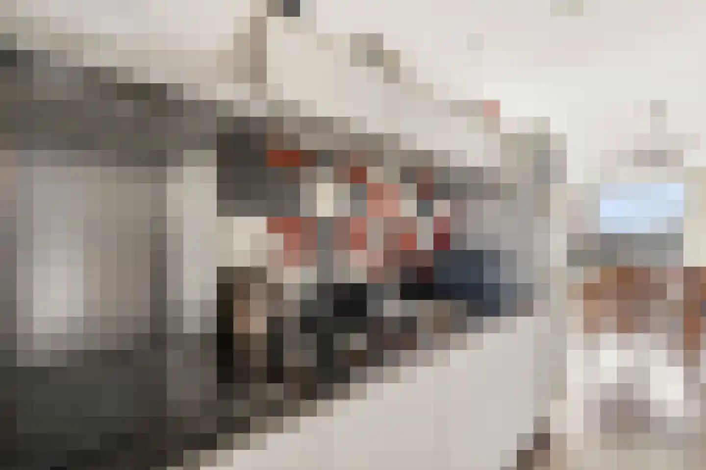 Willem Augustinstraat 224 Amsterdam thumbnail 16