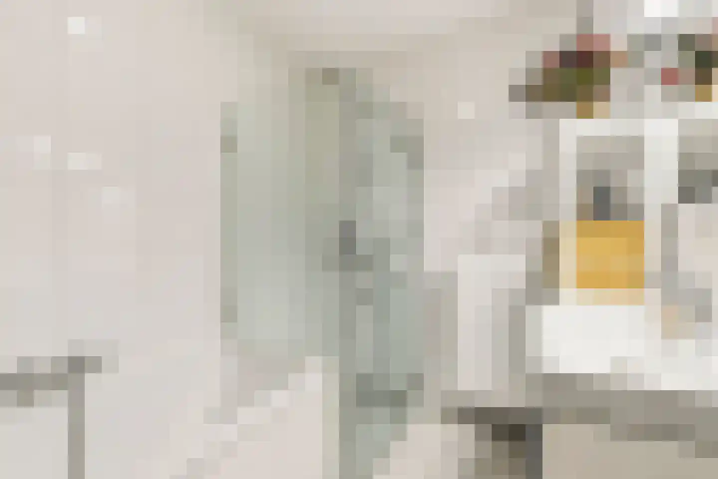 Willem Augustinstraat 224 Amsterdam thumbnail 26