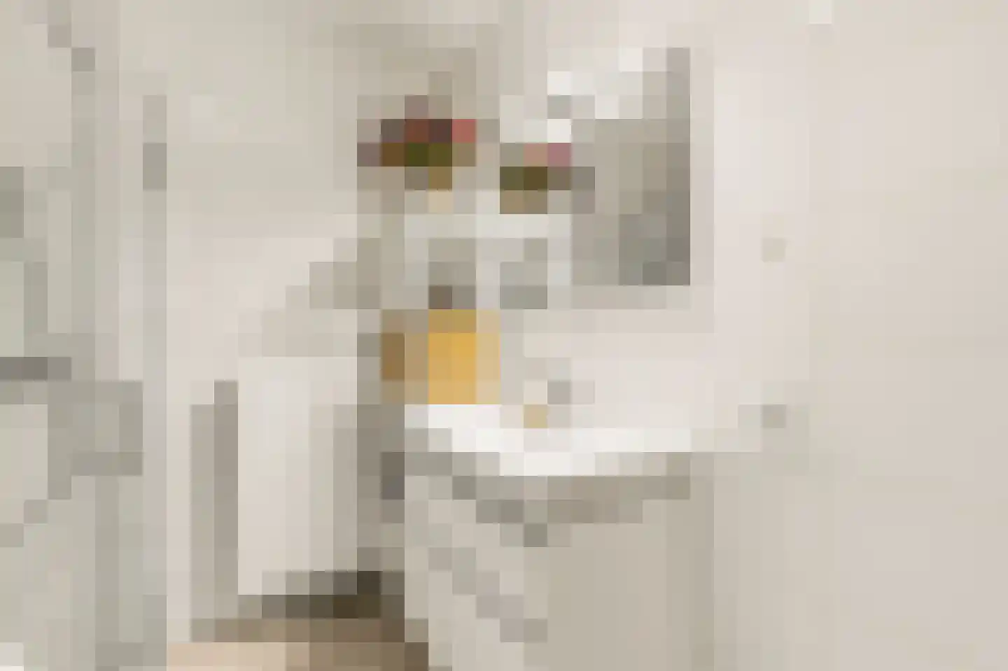 Willem Augustinstraat 224 Amsterdam thumbnail 27