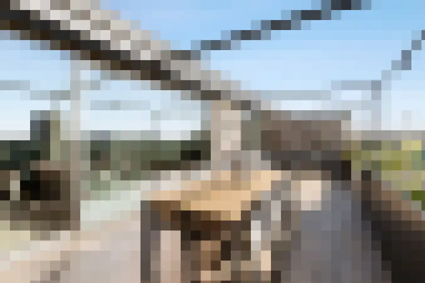 Willem Augustinstraat 230 Amsterdam thumbnail 12