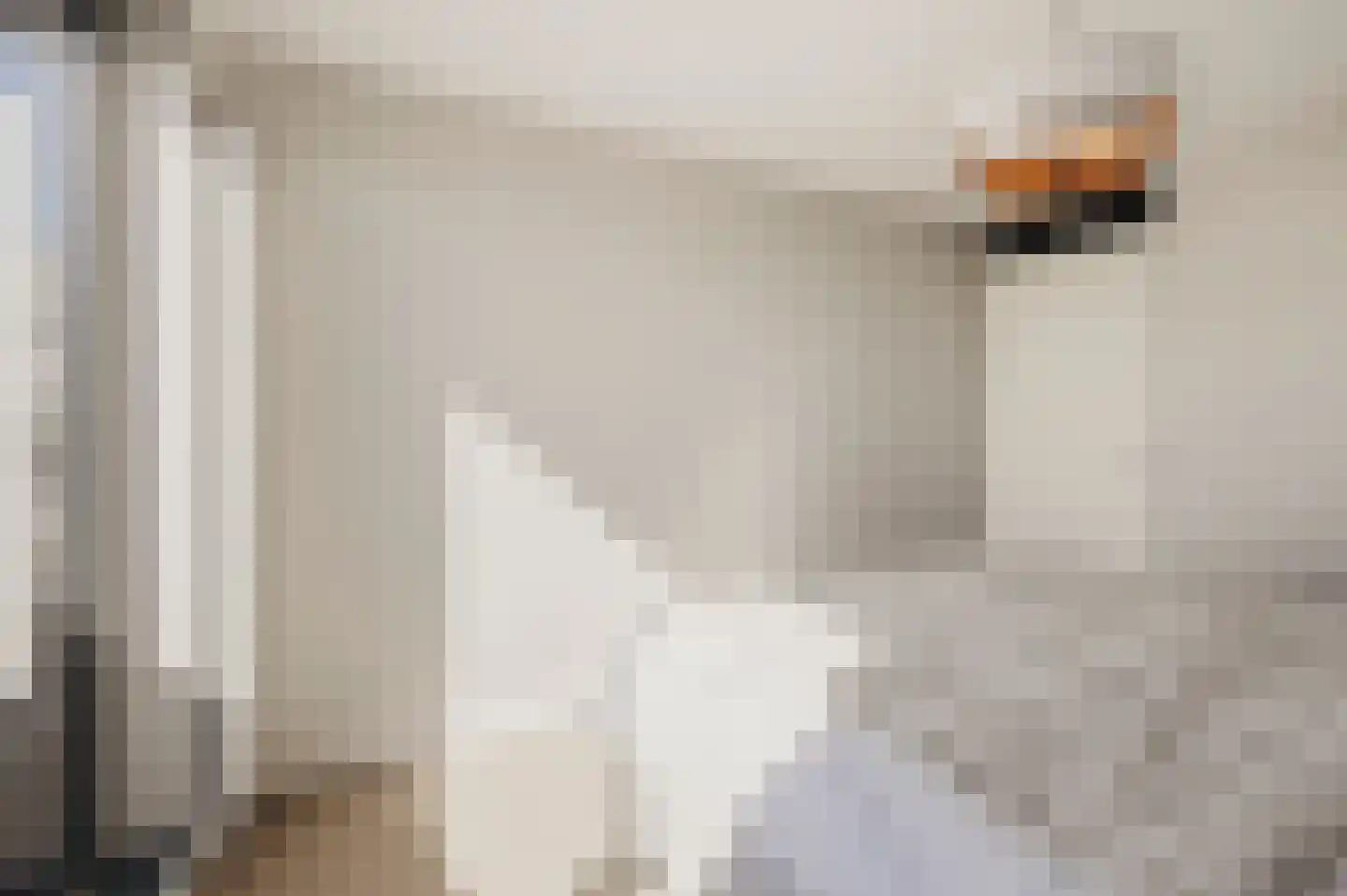 Willem Augustinstraat 230 Amsterdam thumbnail 16