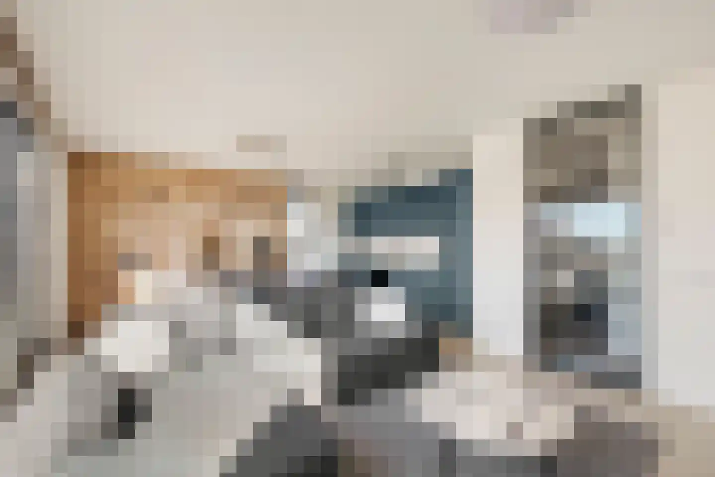Willem Augustinstraat 230 Amsterdam thumbnail 7