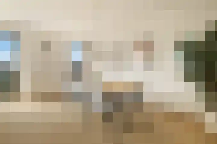 Willem Augustinstraat 266 Amsterdam thumbnail 13