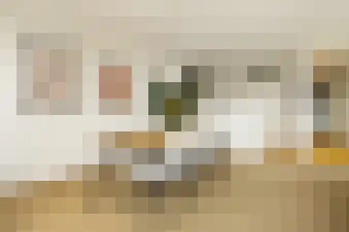 Willem Augustinstraat 266 Amsterdam thumbnail 15