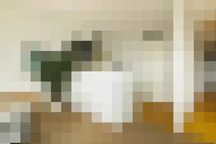 Willem Augustinstraat 266 Amsterdam thumbnail 18