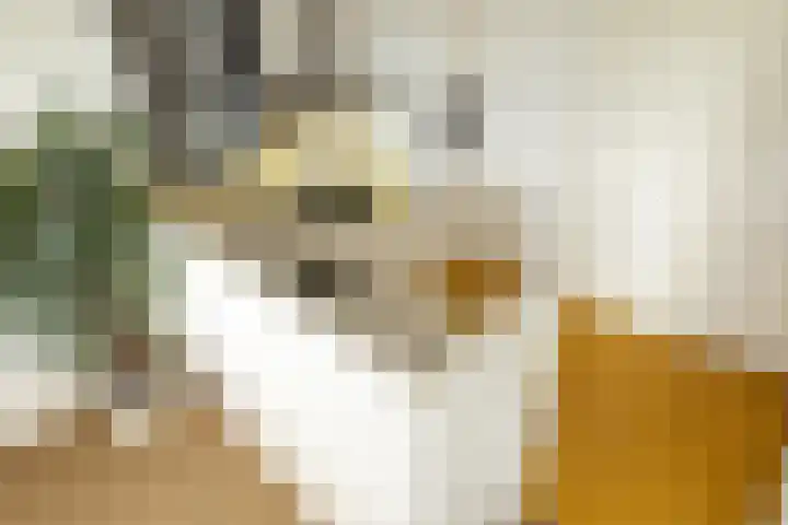 Willem Augustinstraat 266 Amsterdam thumbnail 19