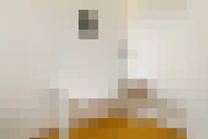 Willem Augustinstraat 266 Amsterdam thumbnail 35
