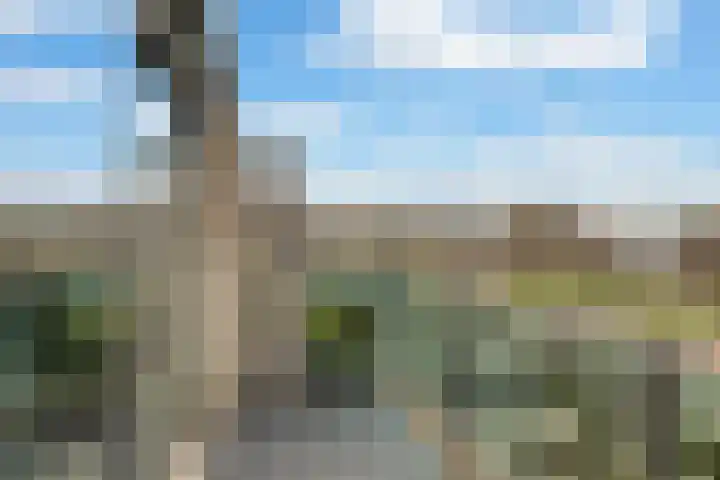 Willem Augustinstraat 266 Amsterdam thumbnail 5