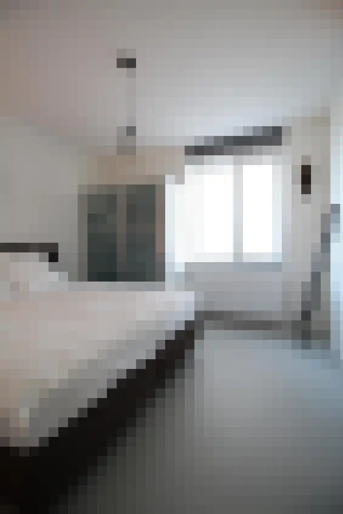 Willem Augustinstraat 307 Amsterdam thumbnail 5