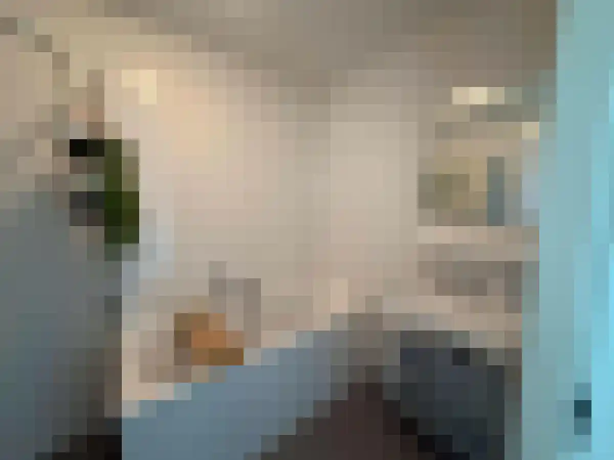 Willem Augustinstraat 329 Amsterdam thumbnail 6