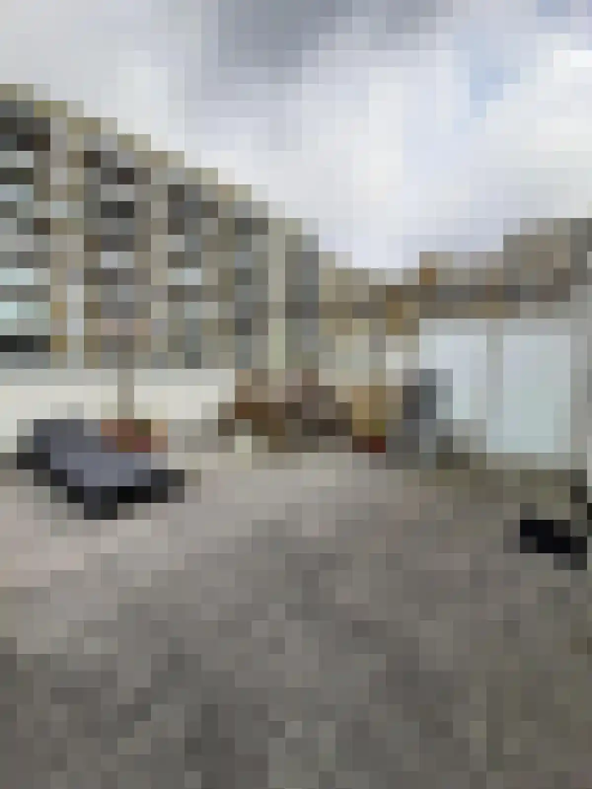 Willem Augustinstraat 77 Amsterdam thumbnail 5