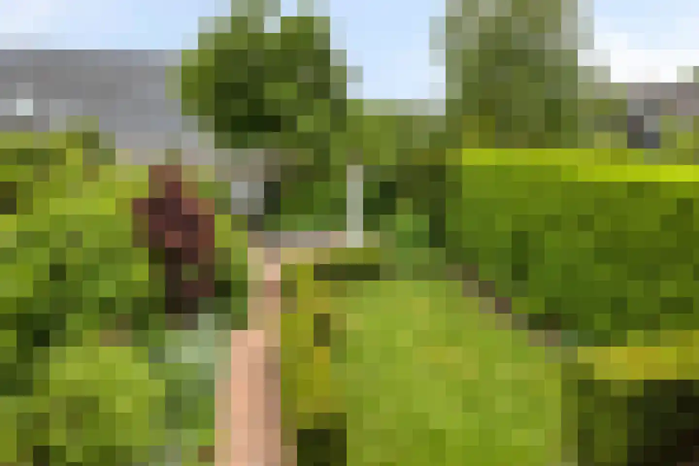 Willem Barendszlaan 3 Maarssen thumbnail 19