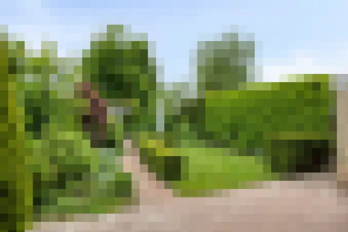Willem Barendszlaan 3 Maarssen thumbnail 35