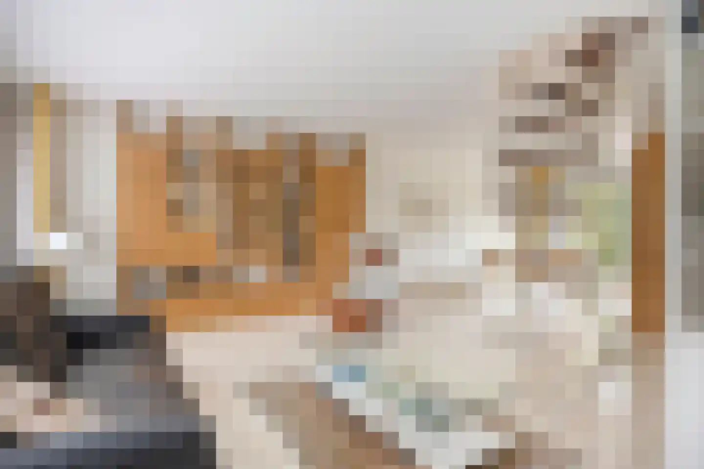 Willem Barendszlaan 3 Maarssen thumbnail 5