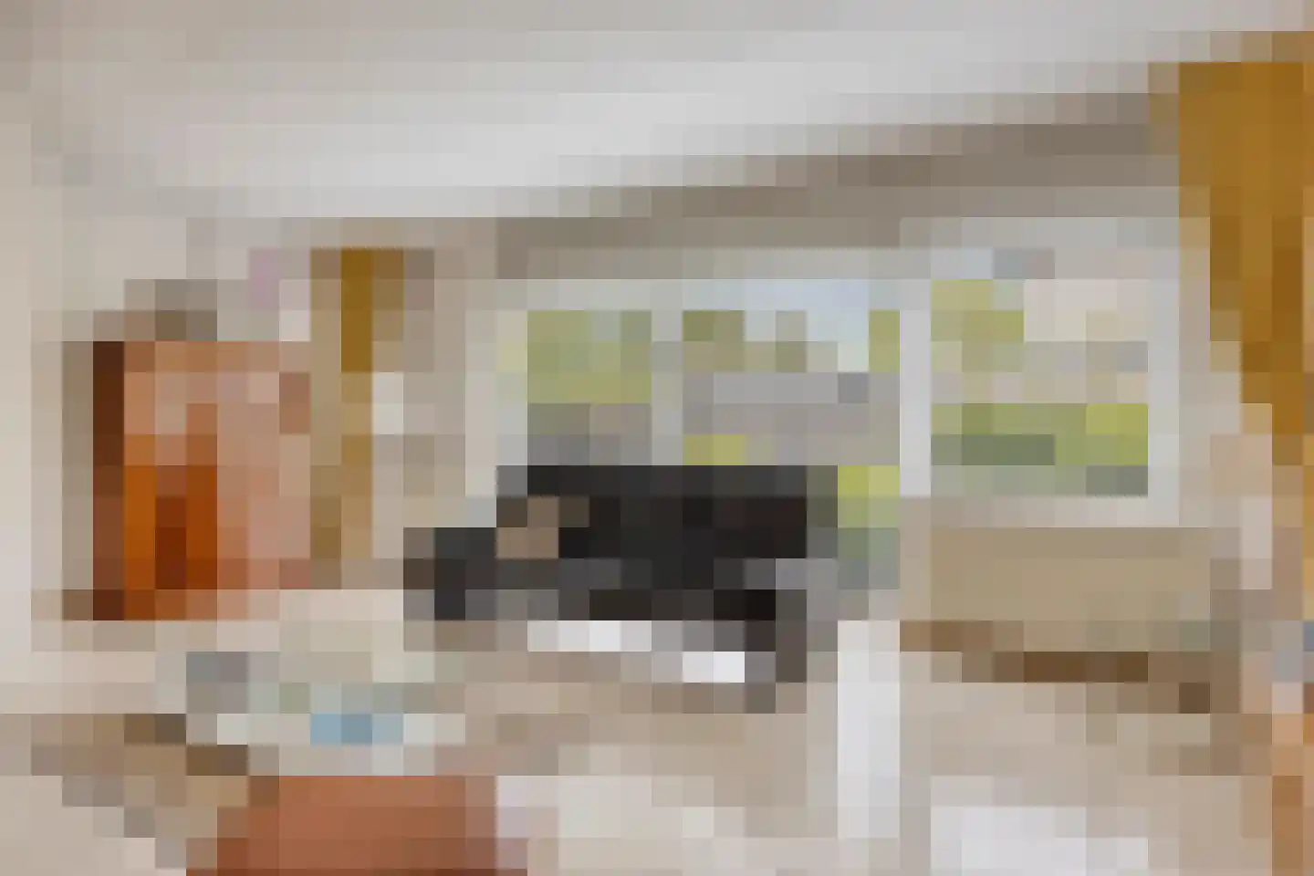 Willem Barendszlaan 3 Maarssen thumbnail 6