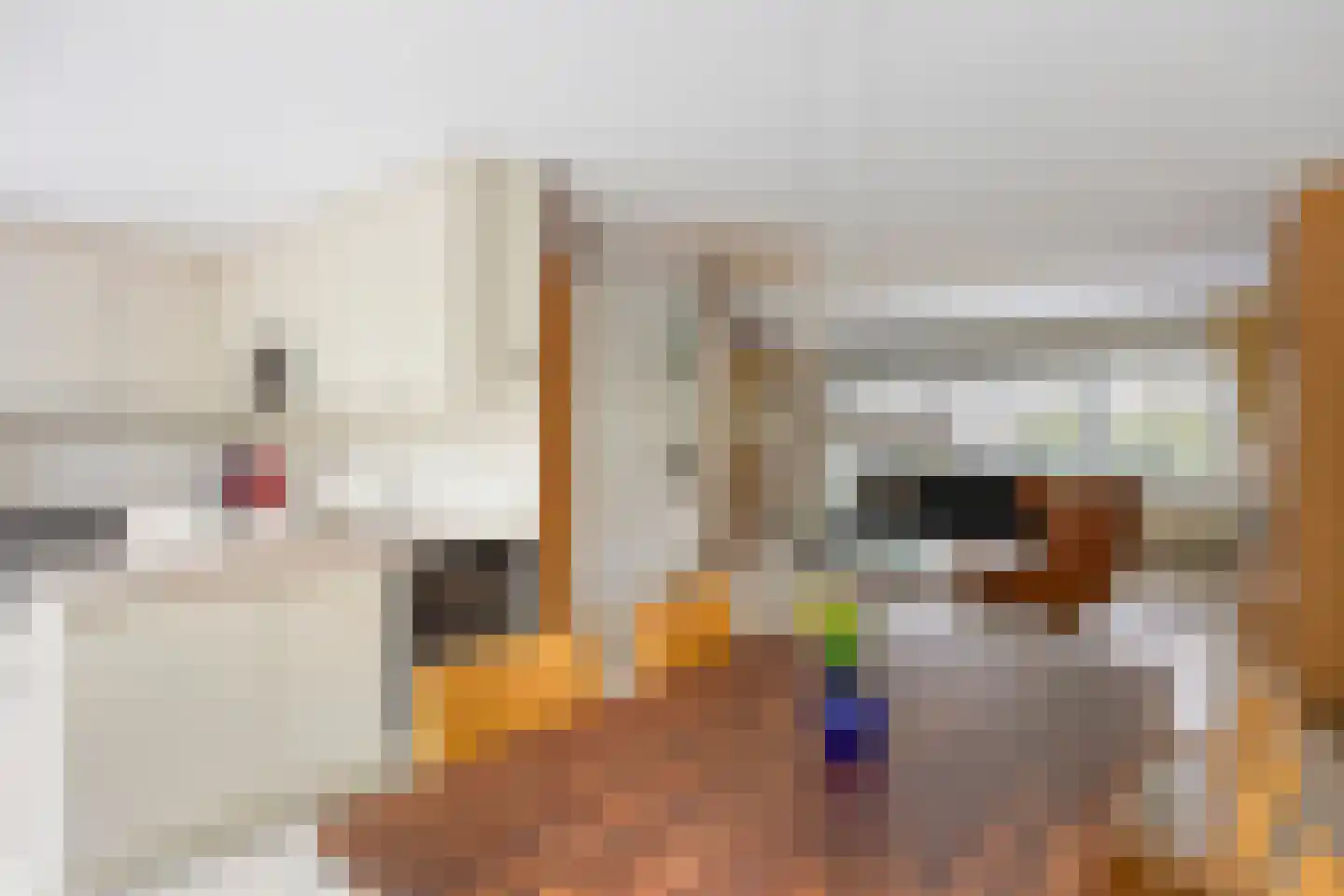 Willem Barendszlaan 3 Maarssen thumbnail 8