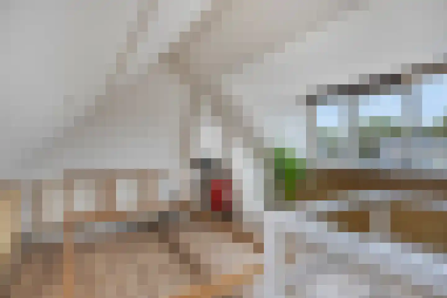 Willem Barendszstraat 22 1 Arnhem thumbnail 13