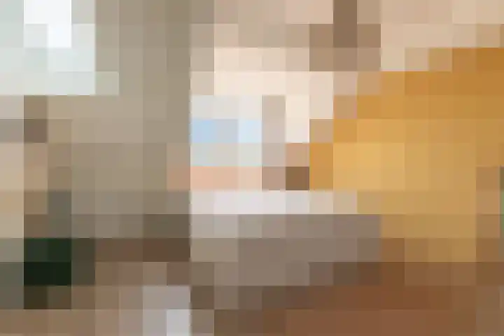 Willem Barendszstraat 37 Breda thumbnail 27