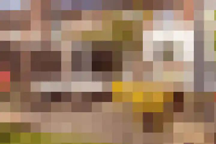 Willem Barendszstraat 37 Breda thumbnail 32
