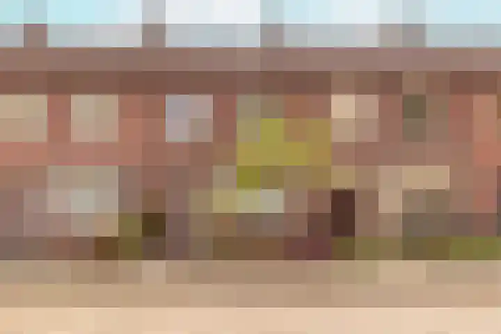 Willem Barendszstraat 37 Breda thumbnail 39