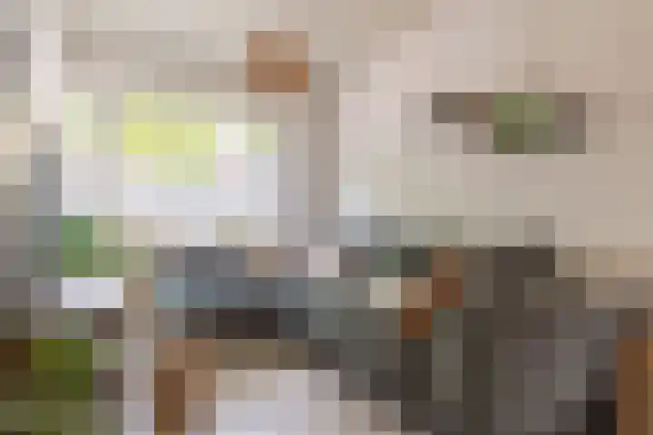 Willem Barendszstraat 37 Breda thumbnail 9