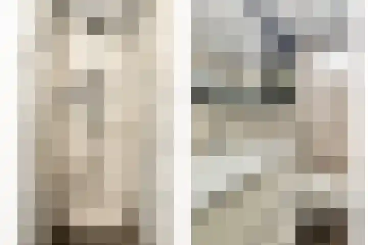 Willem Barendszstraat 4 Tilburg thumbnail 19