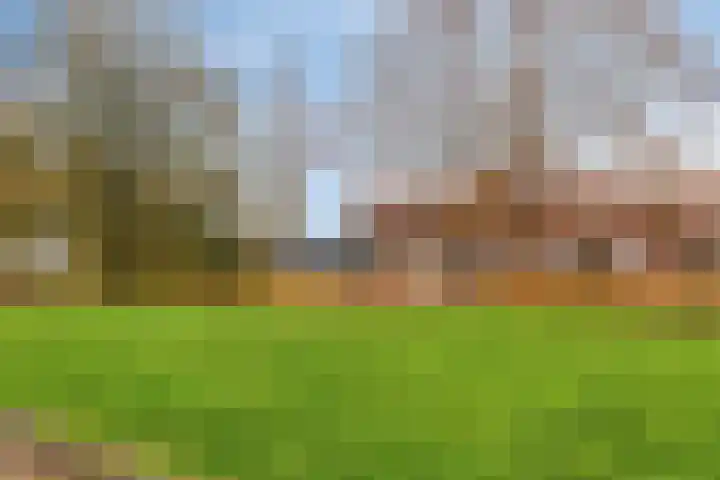 Willem Barendszstraat 4 Tilburg thumbnail 37