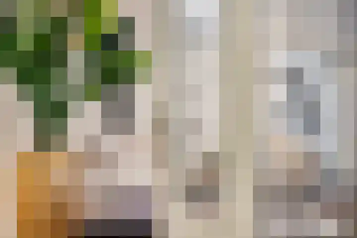 Willem Barendszstraat 4 Tilburg thumbnail 9