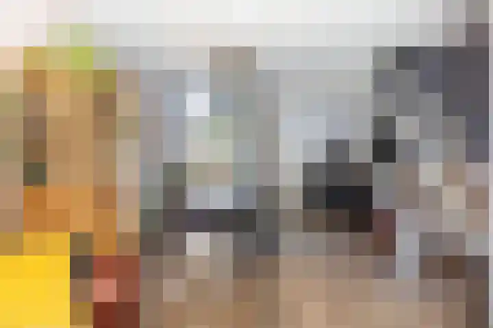 Willem Barendszstraat 5 Tilburg thumbnail 11
