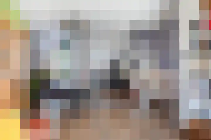Willem Barendszstraat 5 Tilburg thumbnail 13