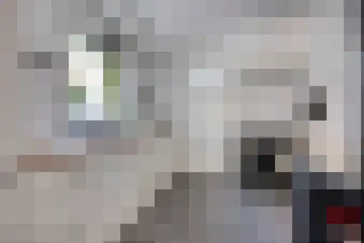 Willem Barendszstraat 5 Tilburg thumbnail 17