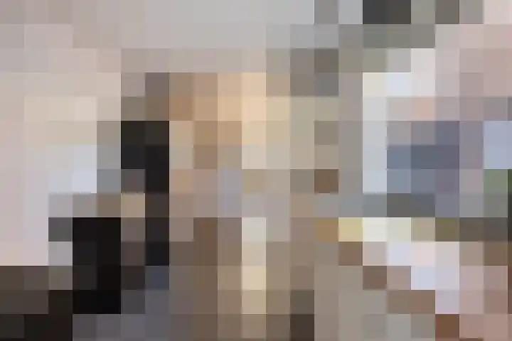 Willem Barendszstraat 5 Tilburg thumbnail 18