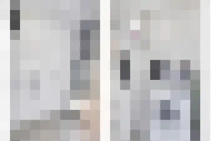 Willem Barendszstraat 5 Tilburg thumbnail 21