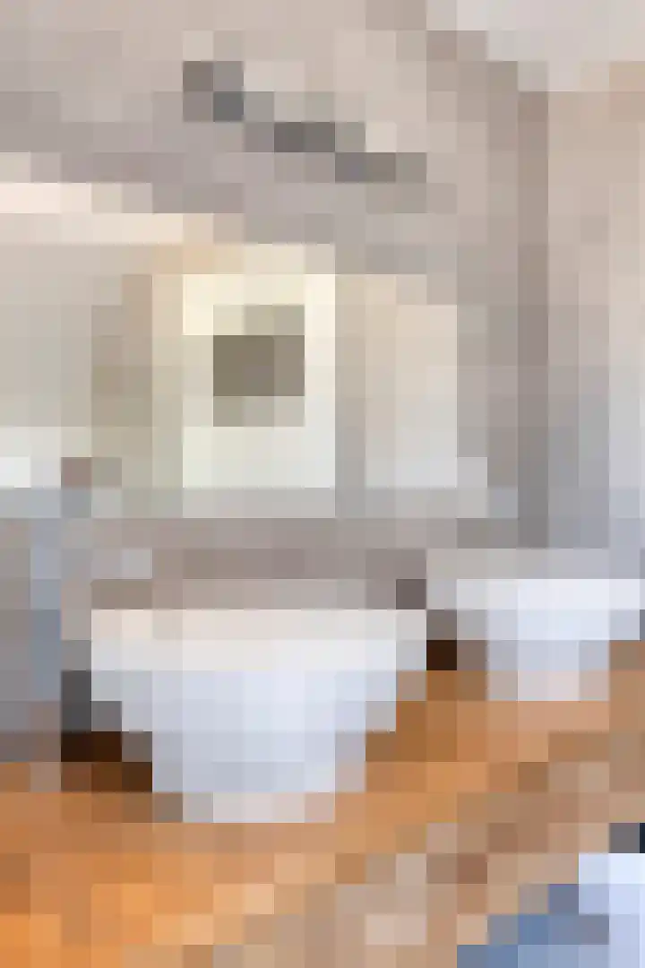 Willem Barendszstraat 5 Tilburg thumbnail 37