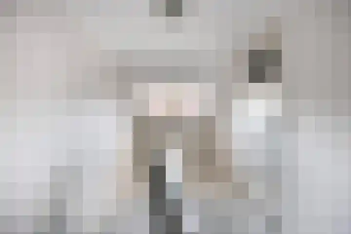 Willem Barendszstraat 5 Tilburg thumbnail 39