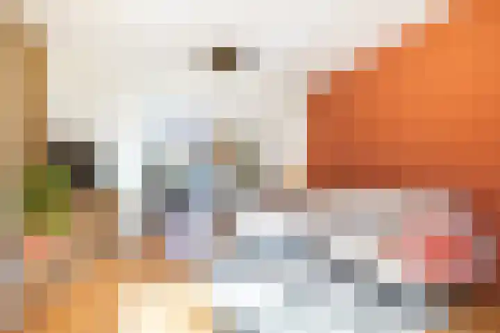 Willem Barendszstraat 6 Breda thumbnail 5