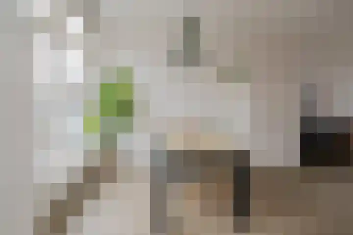 Willem Barendszstraat 8 IJmuiden thumbnail 8