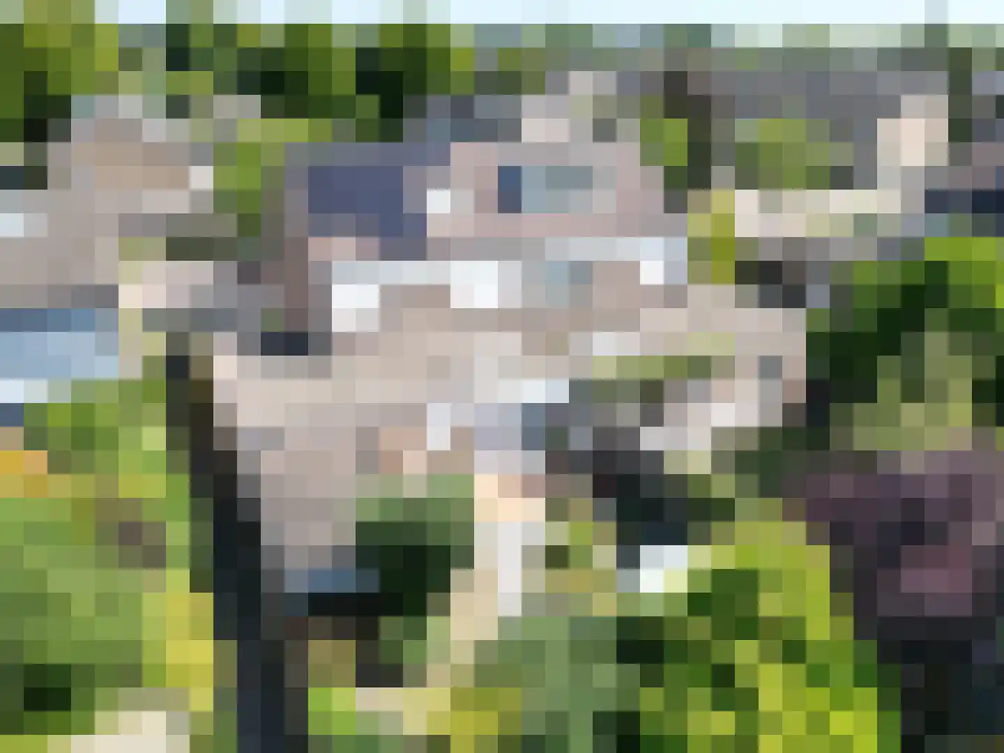 Willem Barendszstraat 9 Best