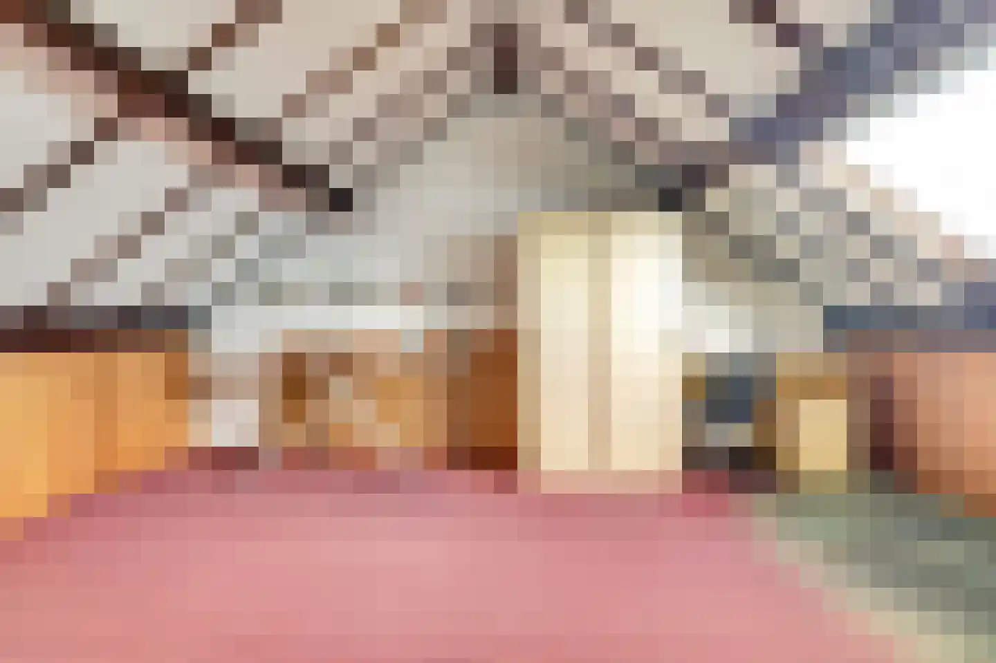 Willem Barendszstraat 9 Best thumbnail 28