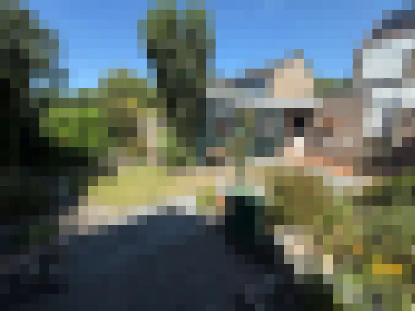 Willem Barendszstraat 9 Best thumbnail 32