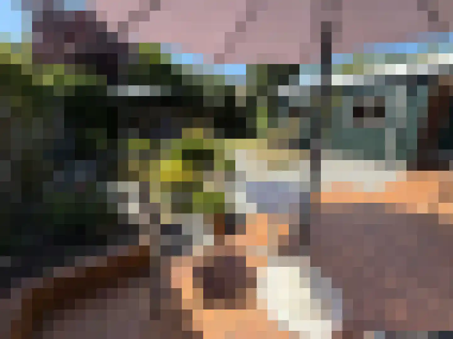 Willem Barendszstraat 9 Best thumbnail 34