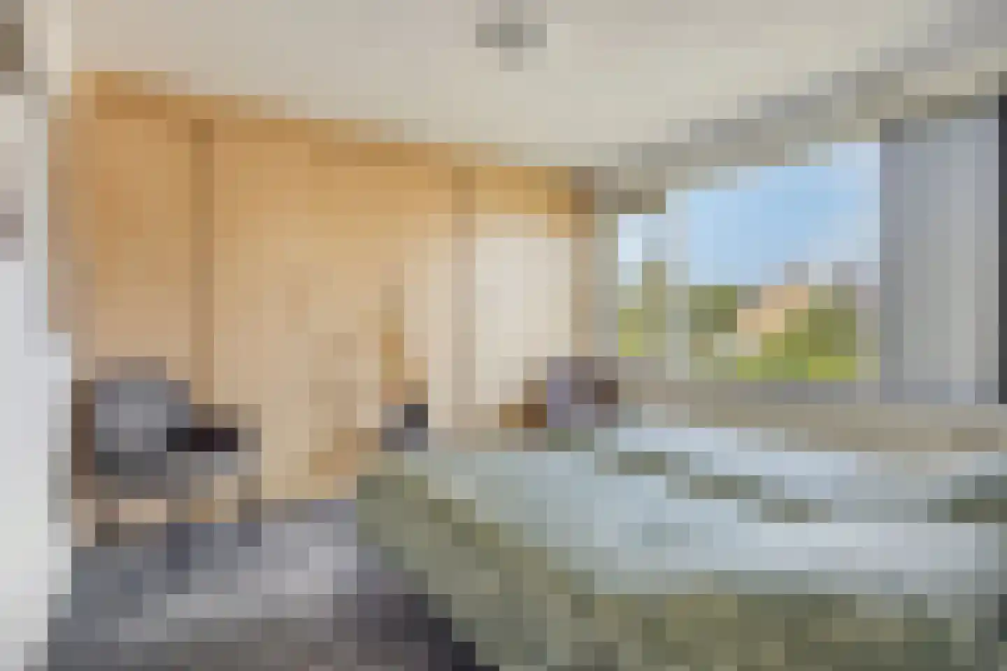 Willem Barentszlaan 11 Gouda thumbnail 15