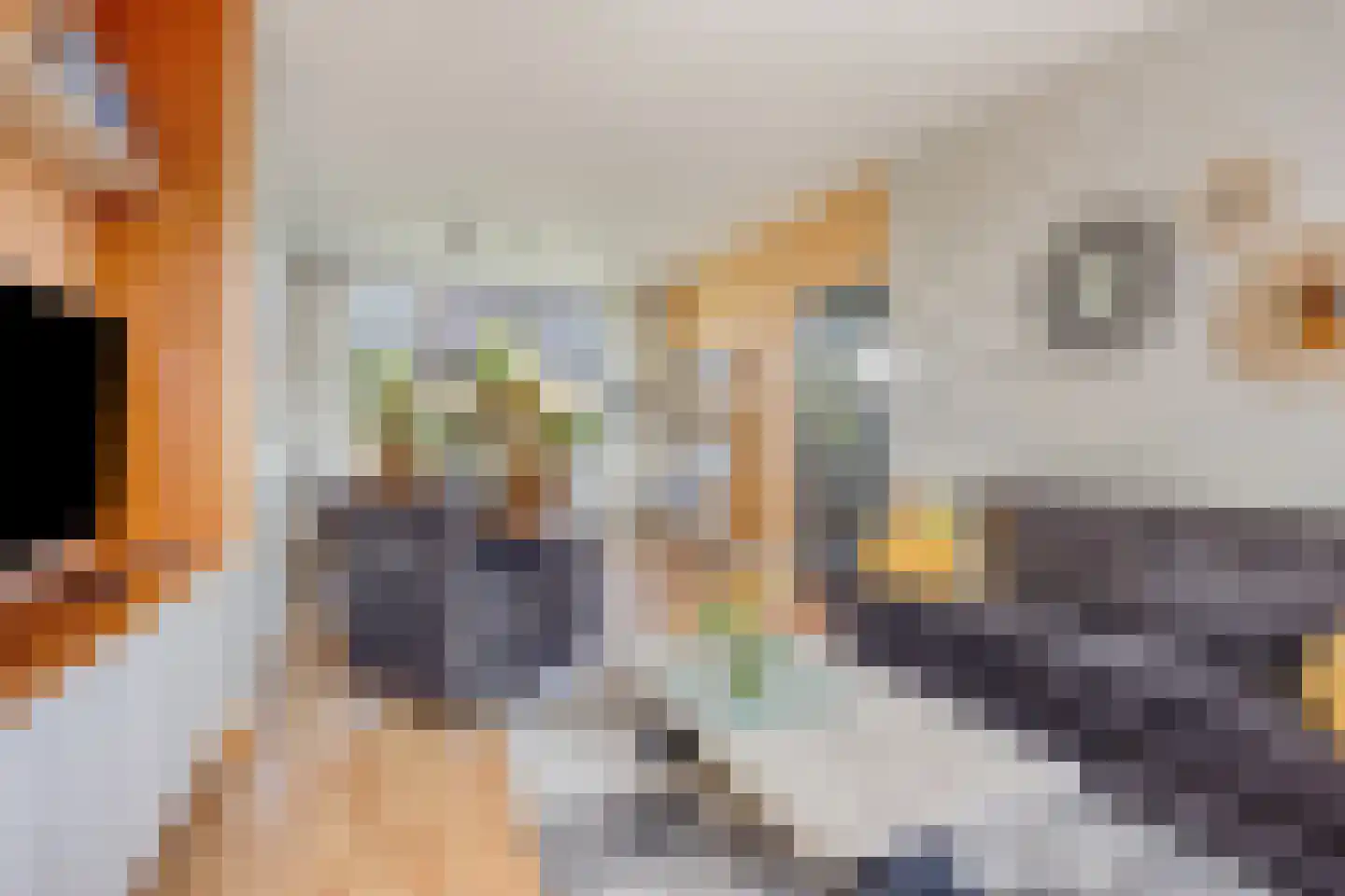 Willem Barentszlaan 11 Gouda thumbnail 4