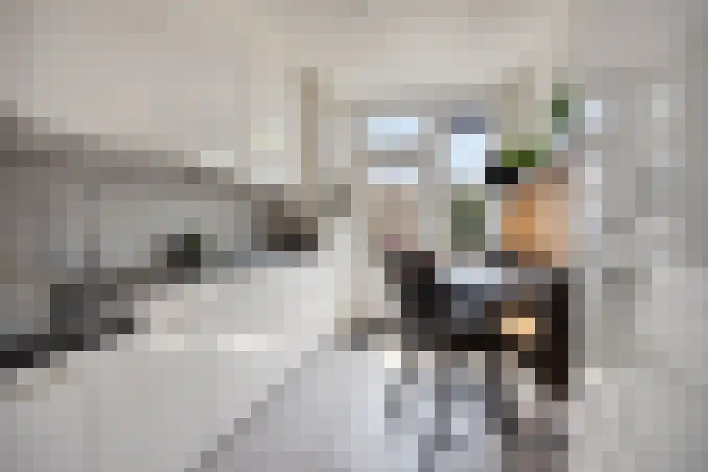 Willem Barentszlaan 11 Gouda thumbnail 8